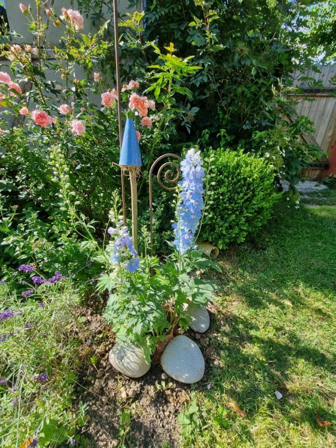 Ankommen, Wohlfuehlen Und Die Natur Geniessen Lichtenhain  Exterior photo